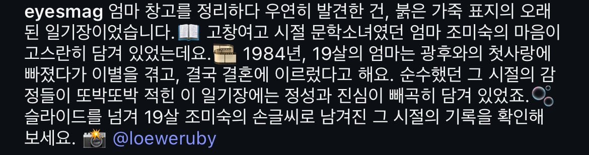 짐을 정리하다 19살 엄마의 다이어리를 발견했다
