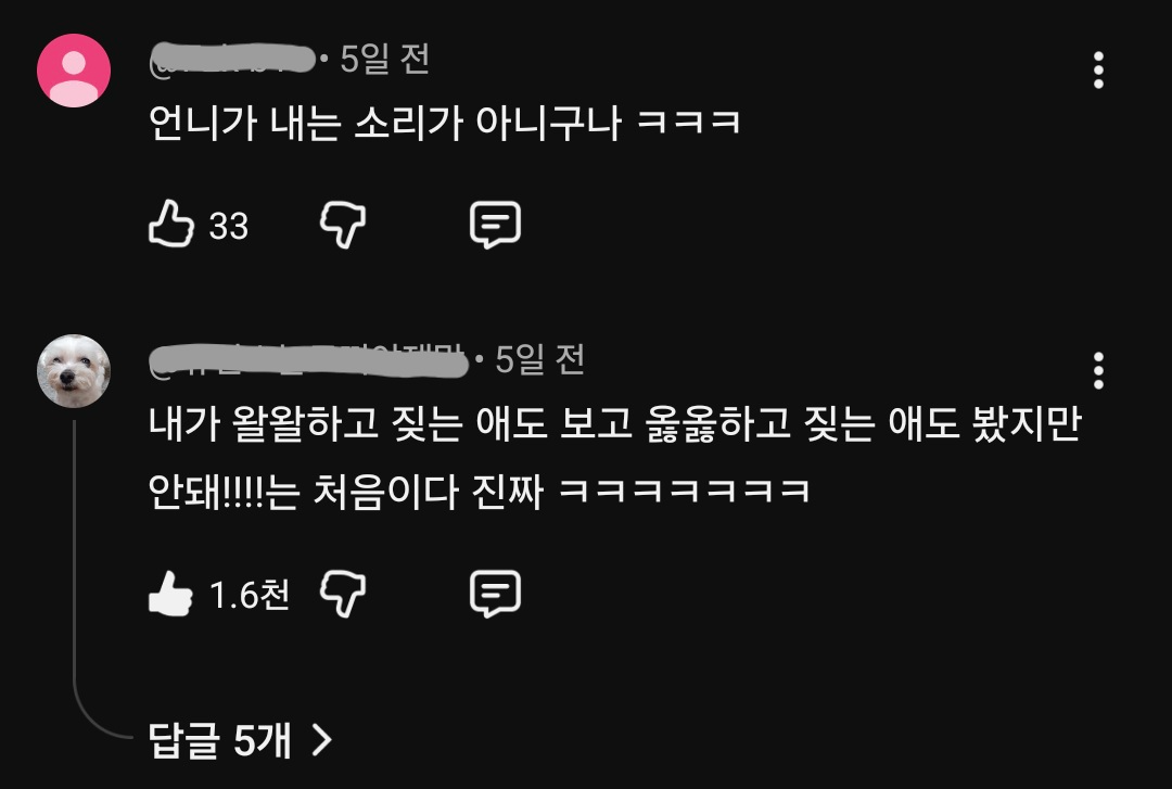 잠시 언니와 이별하는 봄이🐶의 절규