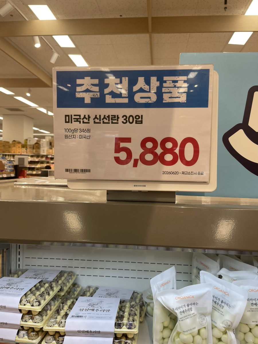 미국산 계란이라