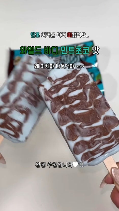 맛있다고 평 좋은 민트초코 아이스크림.jpg