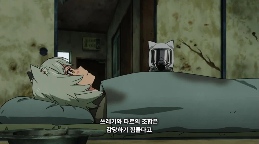 야니네코) 냄새가 그렇게 고약하냥?