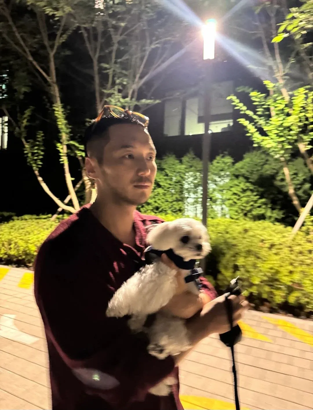 티파니와 신혼생활 시작한 변요한 근황