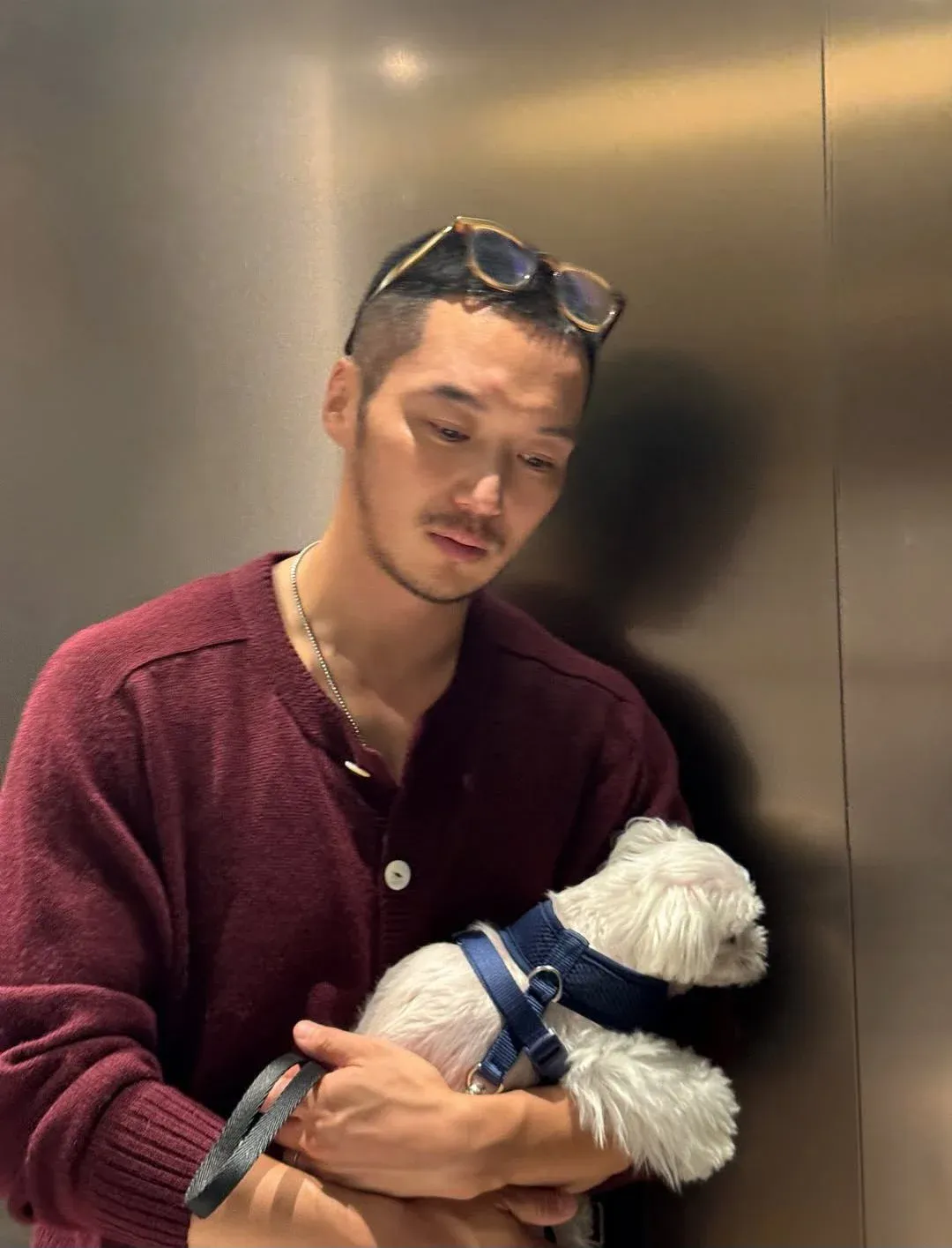 티파니와 신혼생활 시작한 변요한 근황
