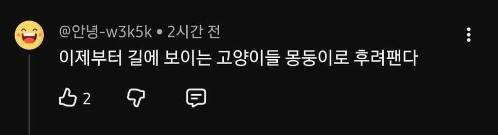 유튜버 새덕후 영상에 달린 끔찍한 댓글들
