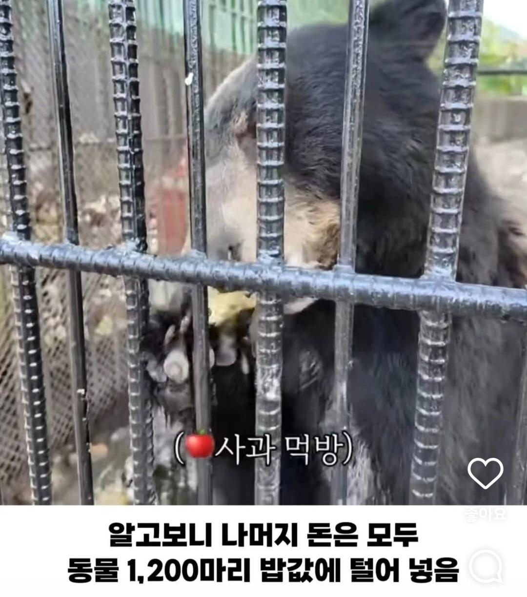 연 매출 10억이상인데 사장 월급은 300만원