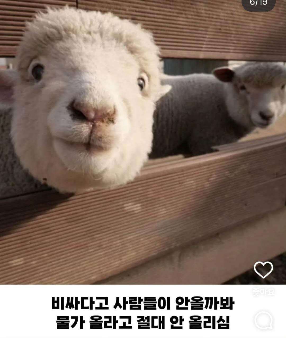 연 매출 10억이상인데 사장 월급은 300만원