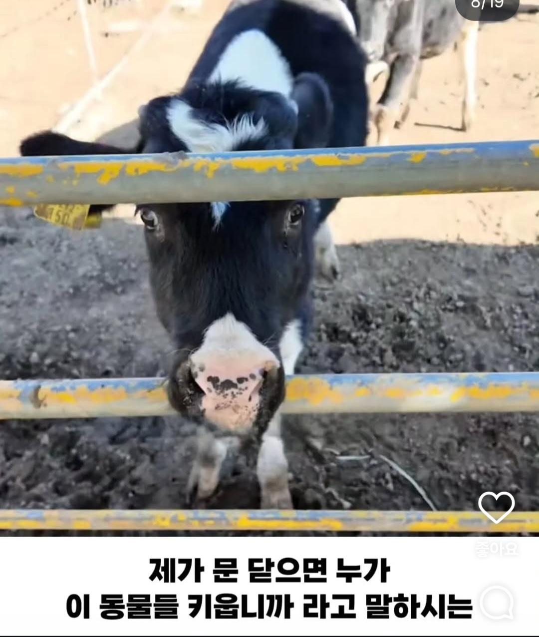 연 매출 10억이상인데 사장 월급은 300만원