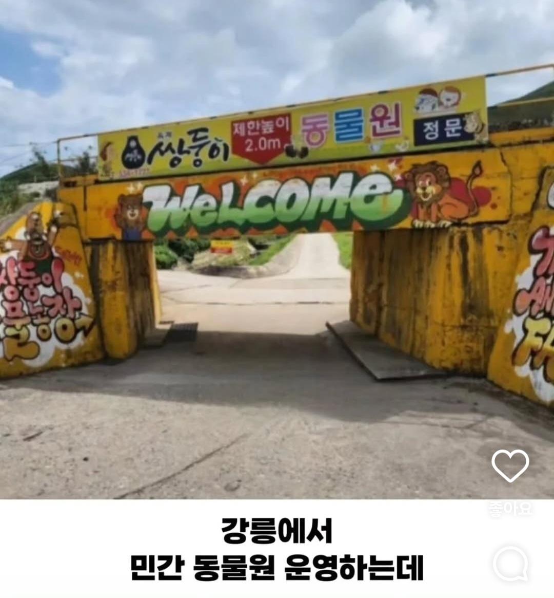 연 매출 10억이상인데 사장 월급은 300만원