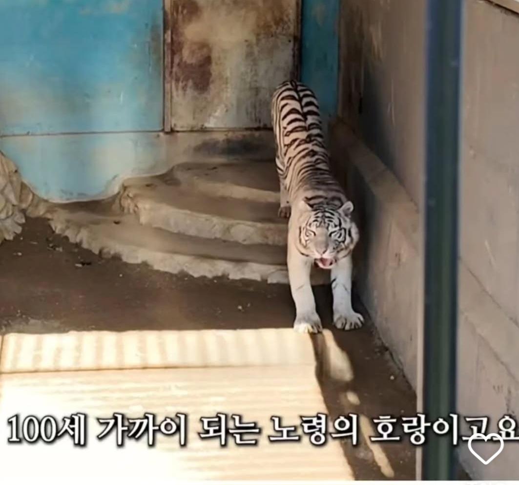 연 매출 10억이상인데 사장 월급은 300만원