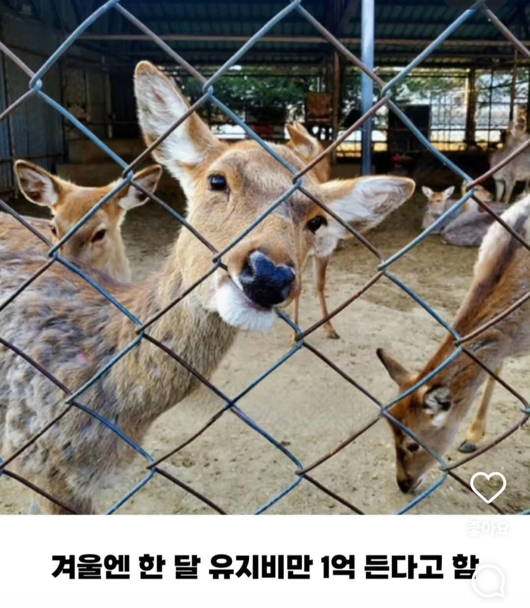 연 매출 10억이상인데 사장 월급은 300만원