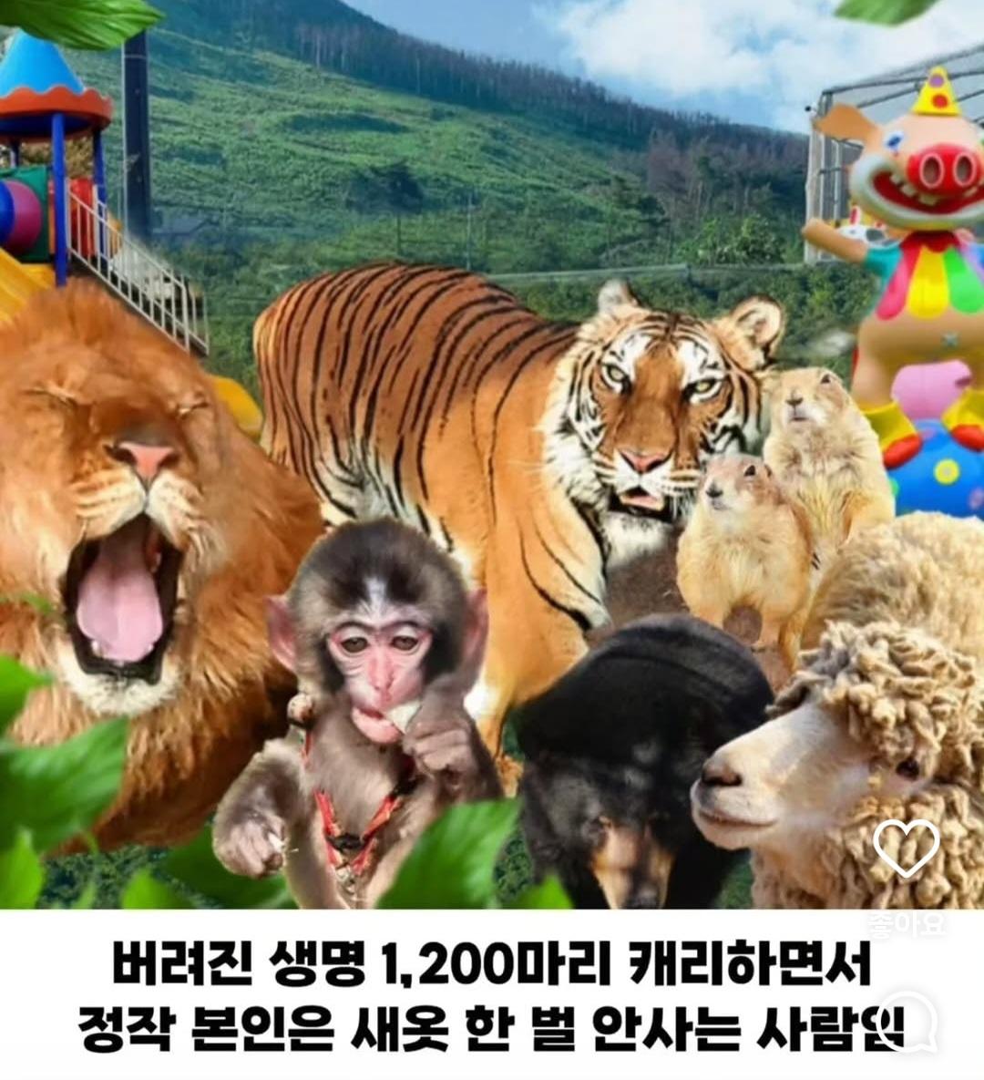 연 매출 10억이상인데 사장 월급은 300만원