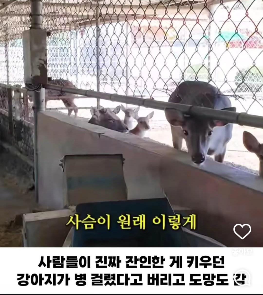 연 매출 10억이상인데 사장 월급은 300만원