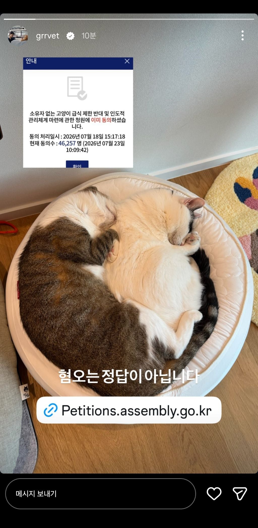 길고양이 급식제한 반대청원에 목소리 내준 사람들