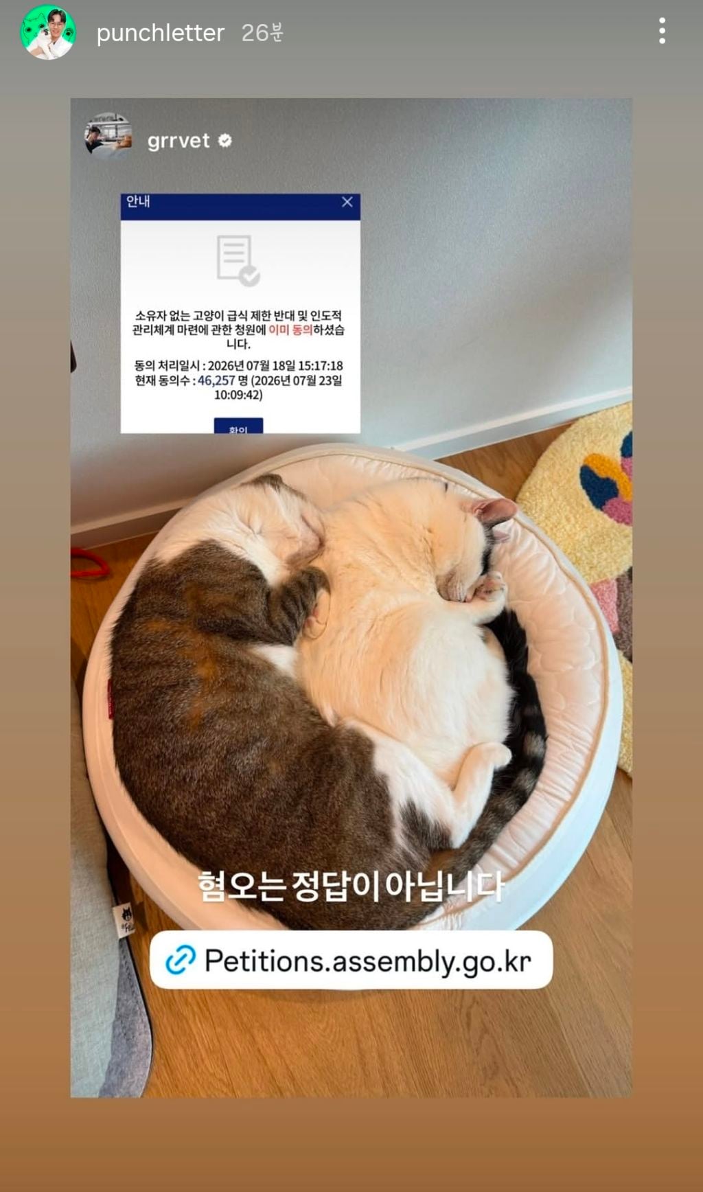 길고양이 급식제한 반대청원에 목소리 내준 사람들