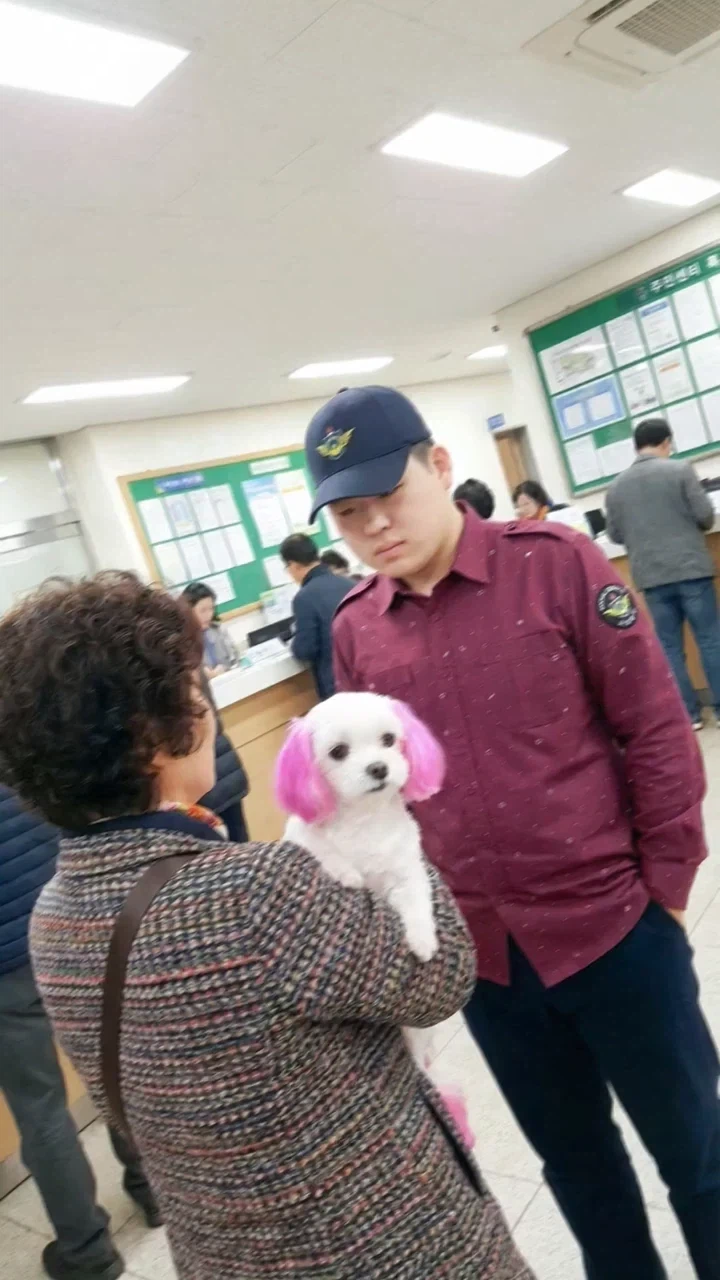 AI 공익 시리즈
