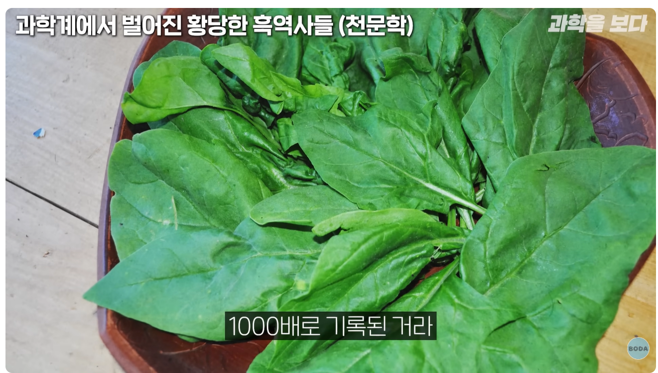 시금치에 철분 없는거 알았어?