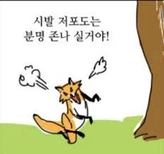 인터넷에서 연애,결혼 관련된 댓글 볼때 느끼는점