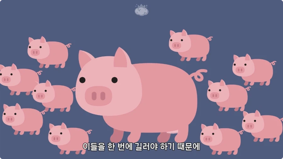 돼지젖으로 만든 우유가 없는 이유.jpg
