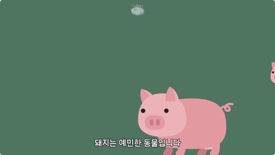 돼지젖으로 만든 우유가 없는 이유.jpg