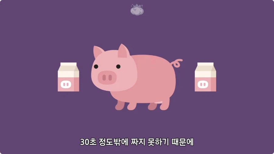 돼지젖으로 만든 우유가 없는 이유.jpg