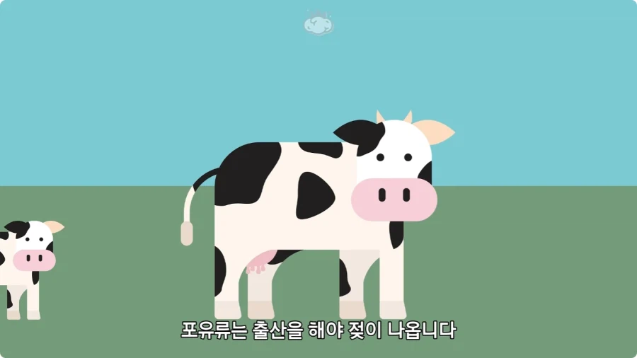 돼지젖으로 만든 우유가 없는 이유.jpg