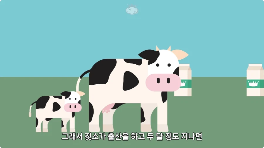 돼지젖으로 만든 우유가 없는 이유.jpg