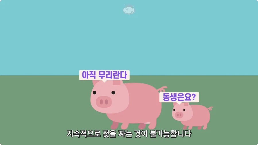 돼지젖으로 만든 우유가 없는 이유.jpg