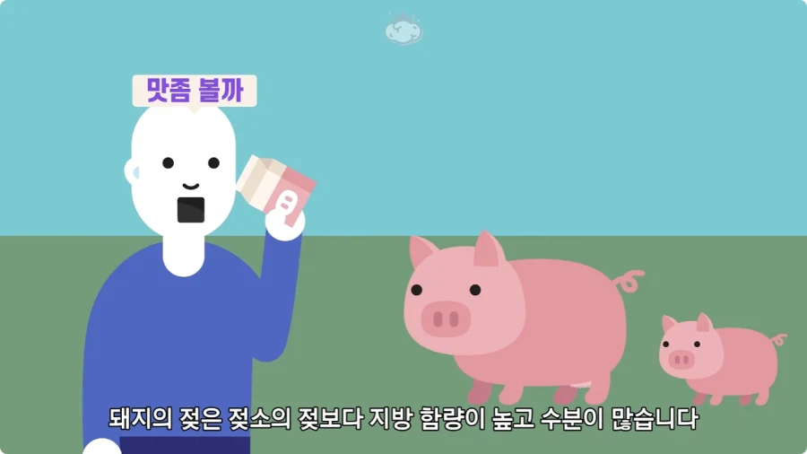 돼지젖으로 만든 우유가 없는 이유.jpg