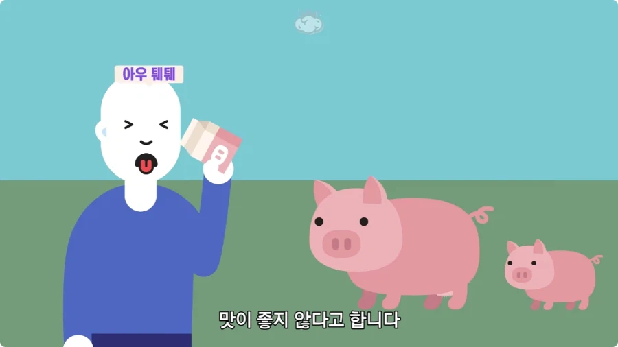 돼지젖으로 만든 우유가 없는 이유.jpg