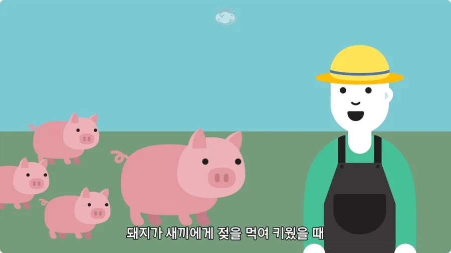 돼지젖으로 만든 우유가 없는 이유.jpg