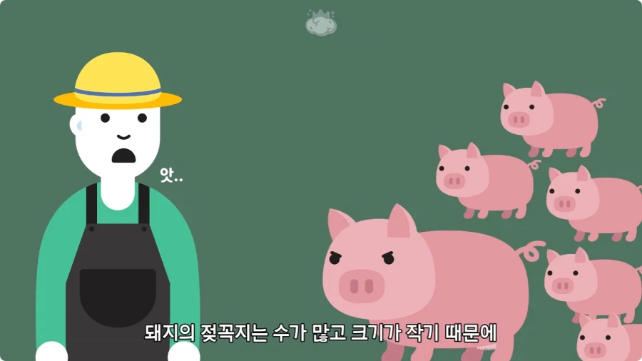 돼지젖으로 만든 우유가 없는 이유.jpg