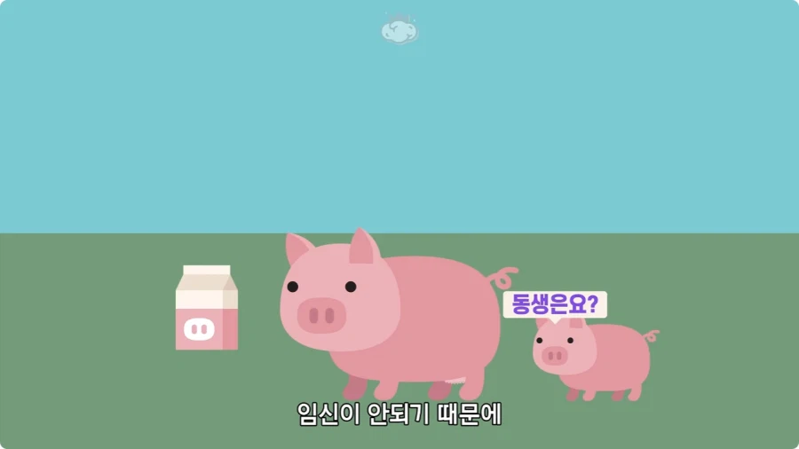 돼지젖으로 만든 우유가 없는 이유.jpg