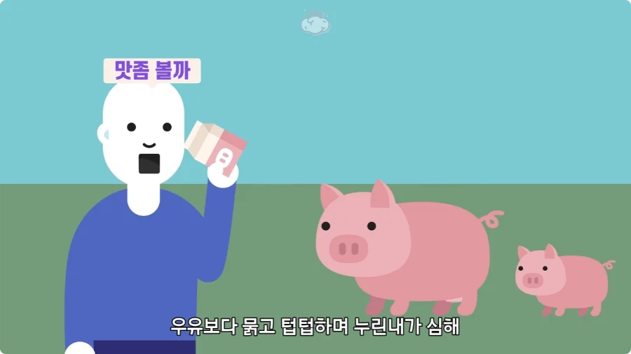 돼지젖으로 만든 우유가 없는 이유.jpg