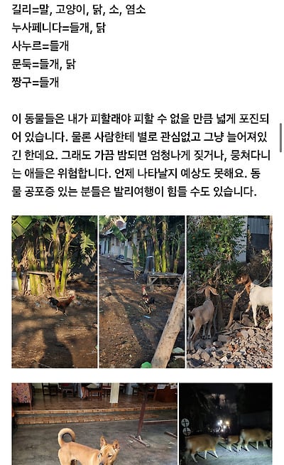 발리 여행카페 공지로 등록된발리에 여행가면 안되는 유형인 사람들.jpg