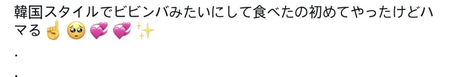 韓여행 밥 비벼먹어본 日모델