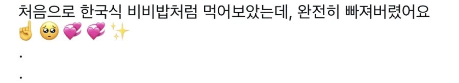 韓여행 밥 비벼먹어본 日모델