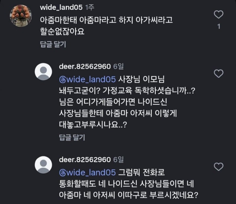 느닷없는 아줌마 논쟁
