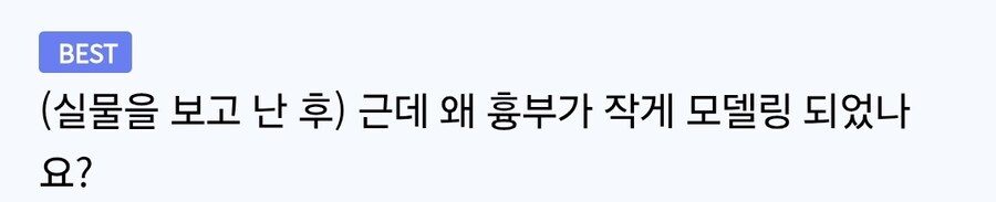 가슴이 크게 모델링된 이유