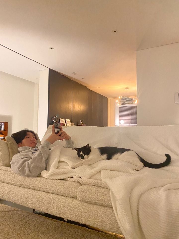 조승우가 꾸민 감각적인 고양이 집