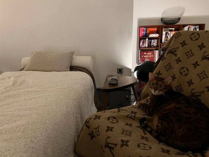 조승우가 꾸민 감각적인 고양이 집