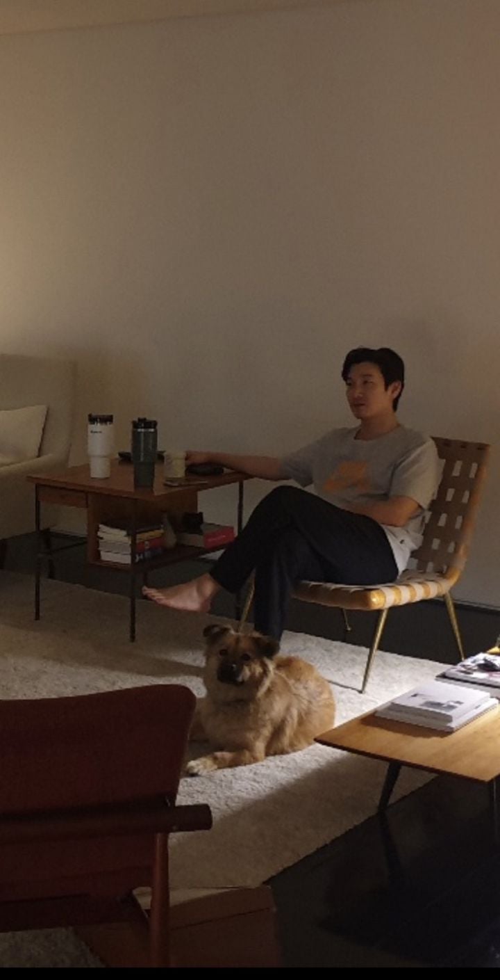 조승우가 꾸민 감각적인 고양이 집
