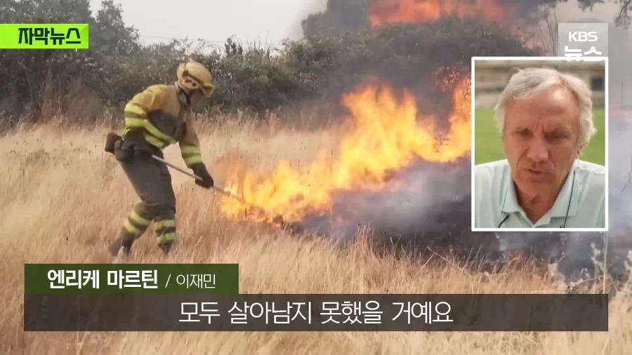스페인 산불 심각하긴 한듯...