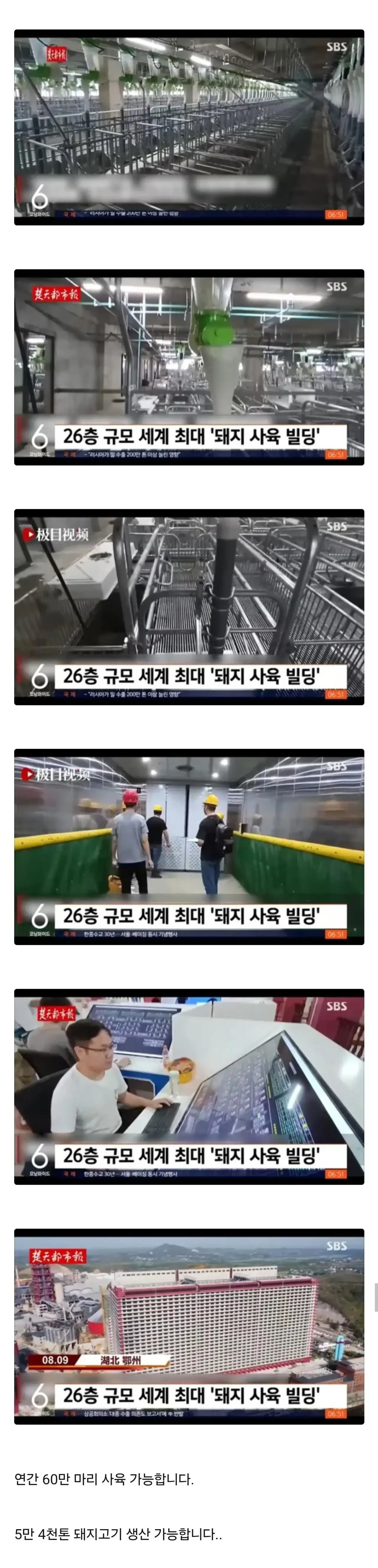 세계) 최대의 중국 돼지 공장 ㄷㄷ.jpg