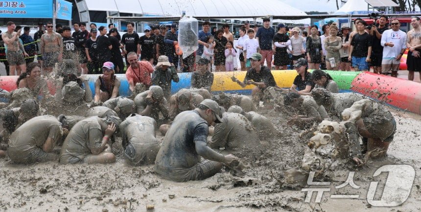 오늘자 보령머드축제 사진 (기사)
