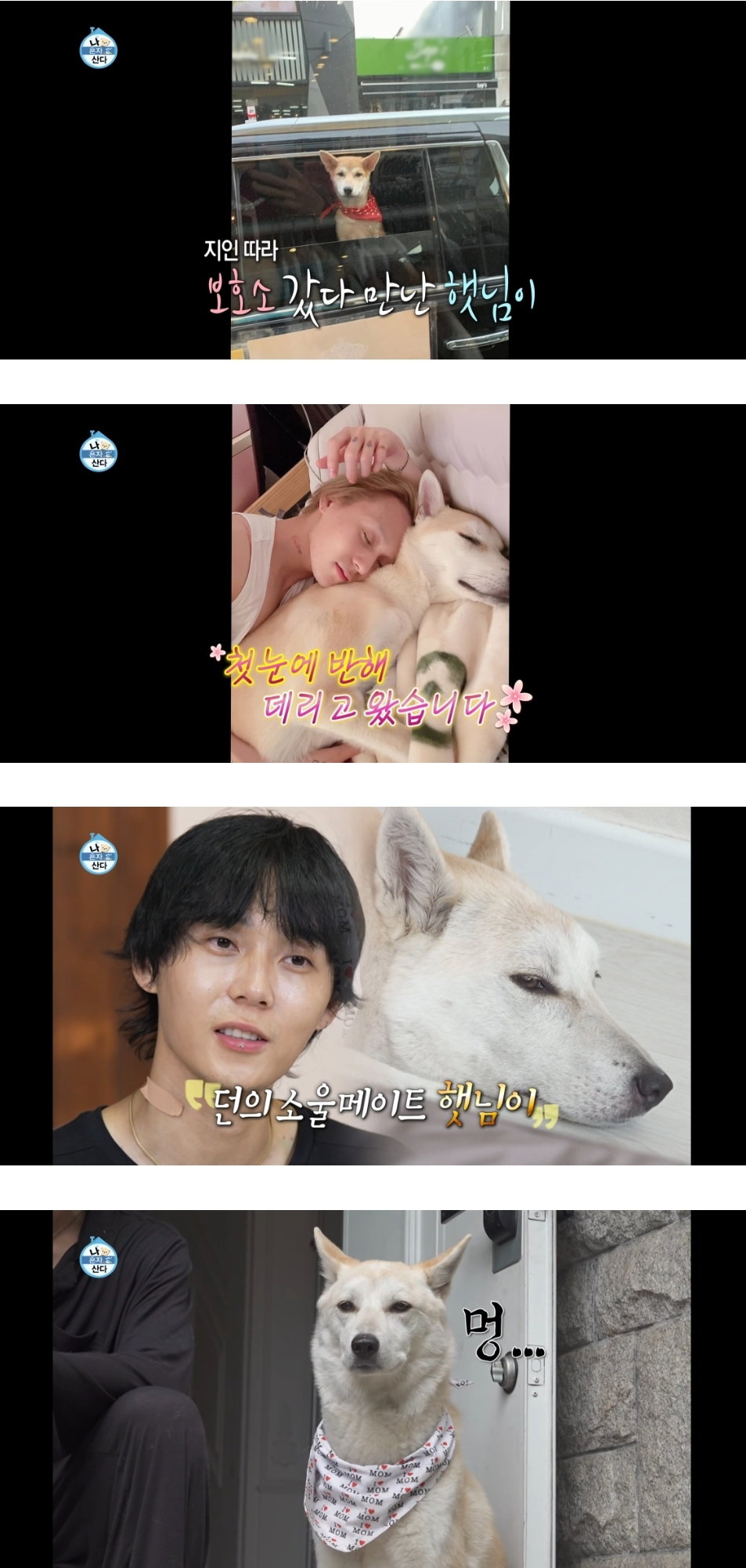 계속 의외라는 반응 나온 어제자 나혼자산다 던 편.jpg