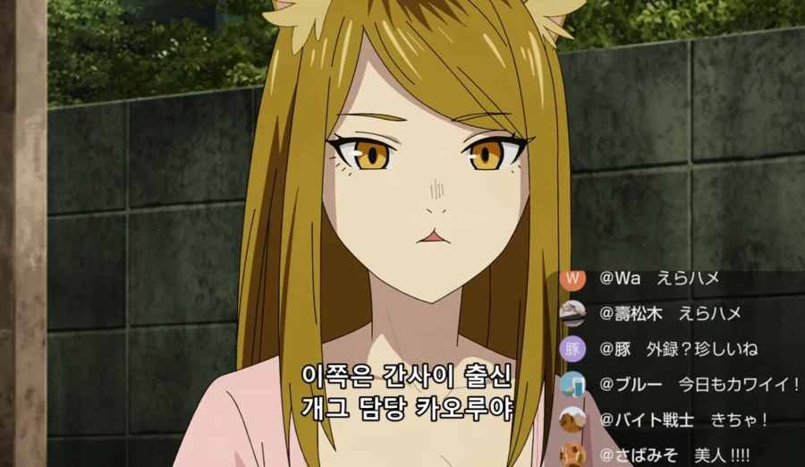 담배고양이) 인터넷 방송하는 하메네코