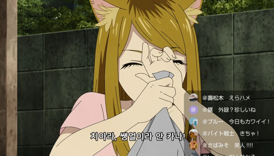 담배고양이) 인터넷 방송하는 하메네코