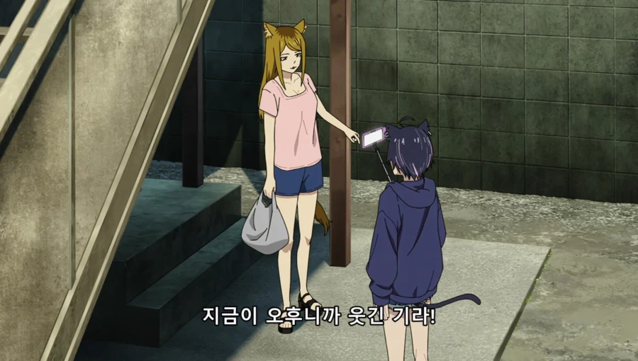 담배고양이) 인터넷 방송하는 하메네코