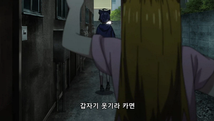 담배고양이) 인터넷 방송하는 하메네코