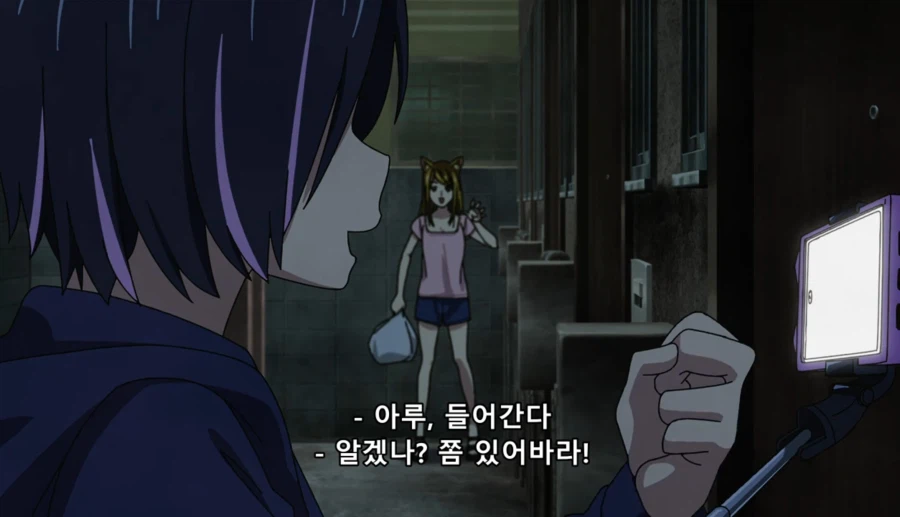 담배고양이) 인터넷 방송하는 하메네코